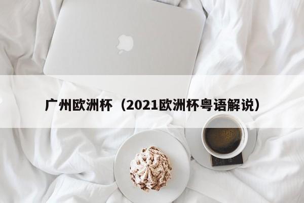 广州欧洲杯（2021欧洲杯粤语解说）