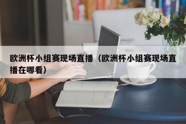 欧洲杯小组赛现场直播（欧洲杯小组赛现场直播在哪看）